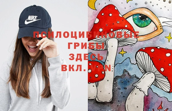 МДМА Арсеньев