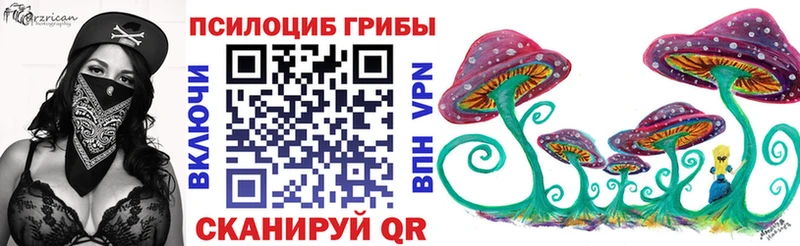 Псилоцибиновые грибы Cubensis  купить   Кизляр 
